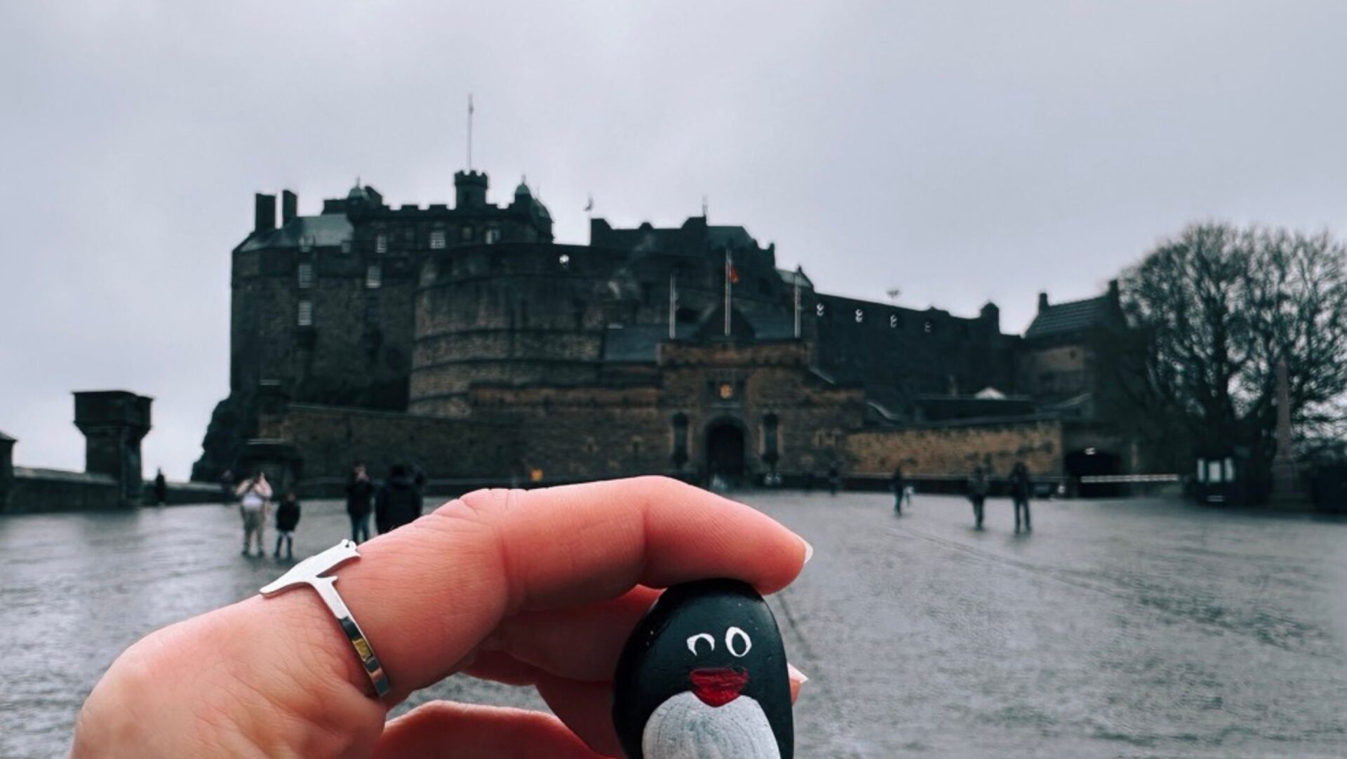 Hand-painted penguin stone #399 hidden at Castle Esplanade, Edinburgh, United Kingdom (photo 1 of 5)