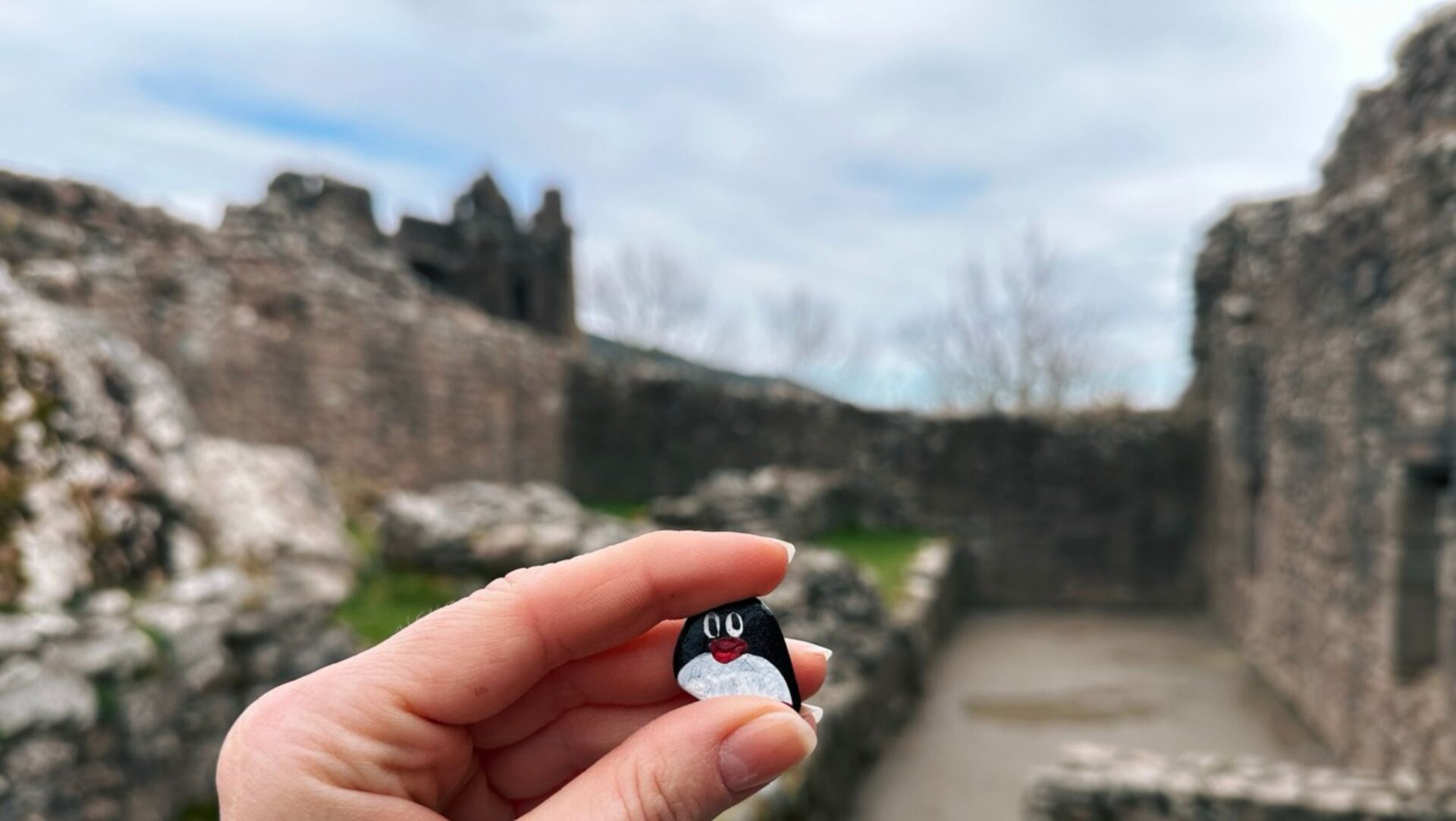 Hand-painted penguin stone #405 hidden at Urquhart Castle Docks, Loch Ness, United Kingdom (photo 1 of 5)