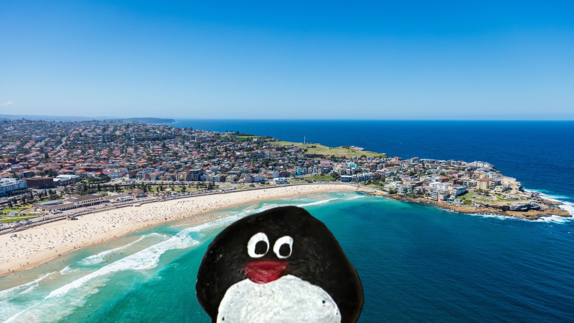 Hand-painted penguin stone #414 hidden at Squid Bay, Sydney, Australia (photo 1 of 5)