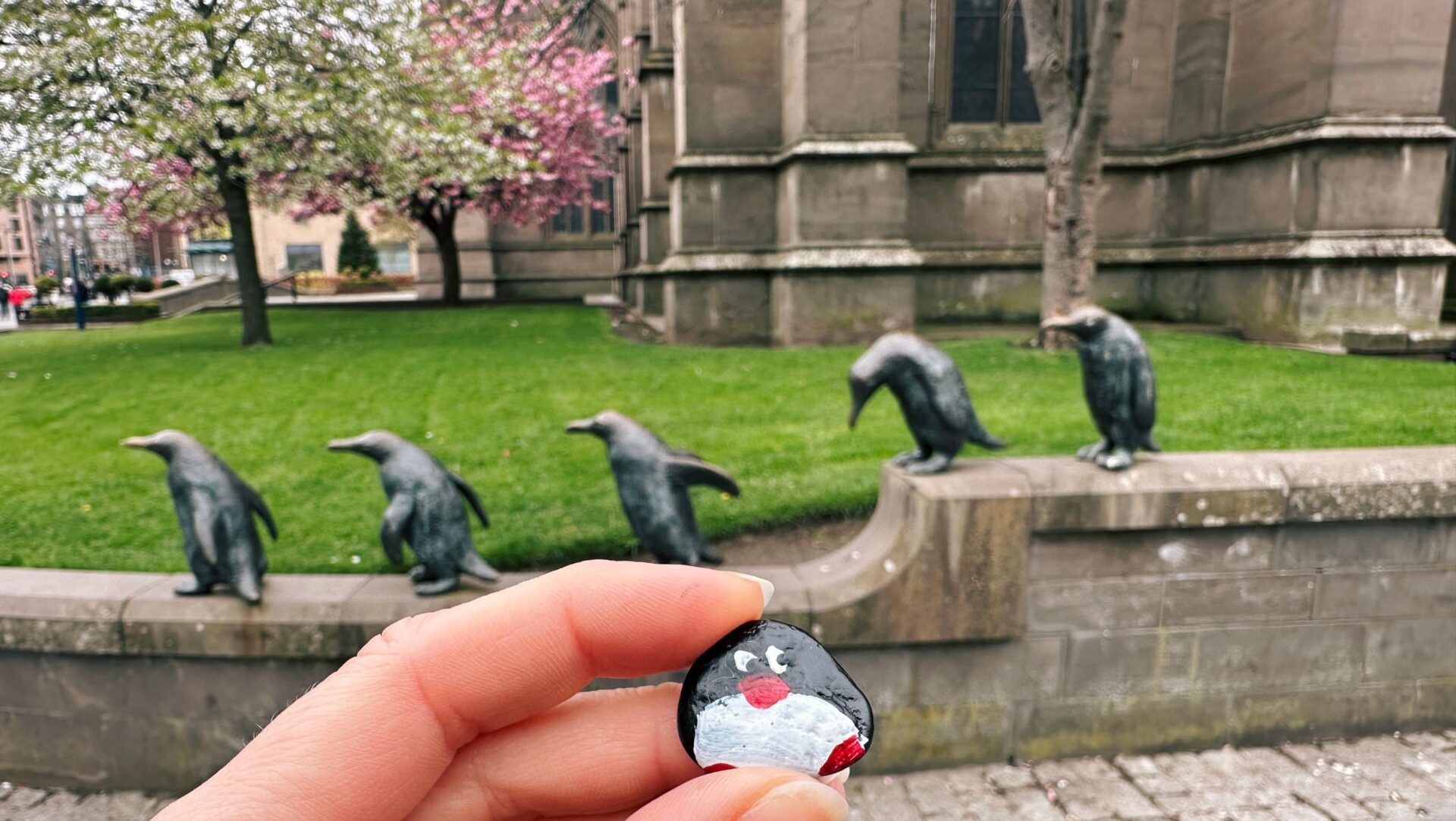 Hand-painted penguin stone #415 hidden at March of Penguins, Dundee, United Kingdom (photo 1 of 5)