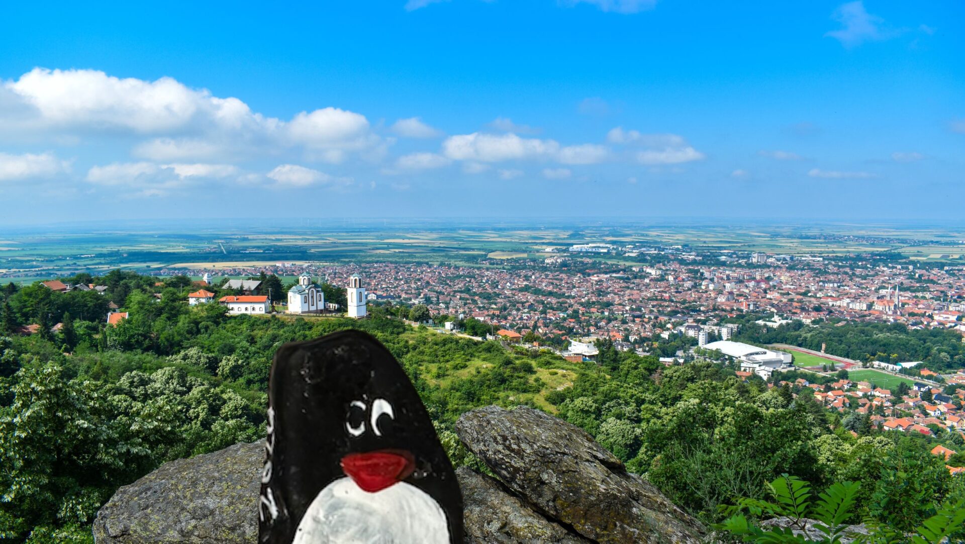 Hand-painted penguin stone #416 hidden at City Park, Vrsac, Serbia (photo 1 of 5)