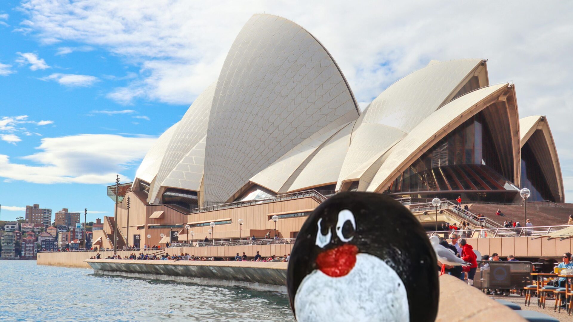 Hand-painted penguin stone #424 hidden at Sydney Opera House, Sydney, Australia (photo 1 of 5)