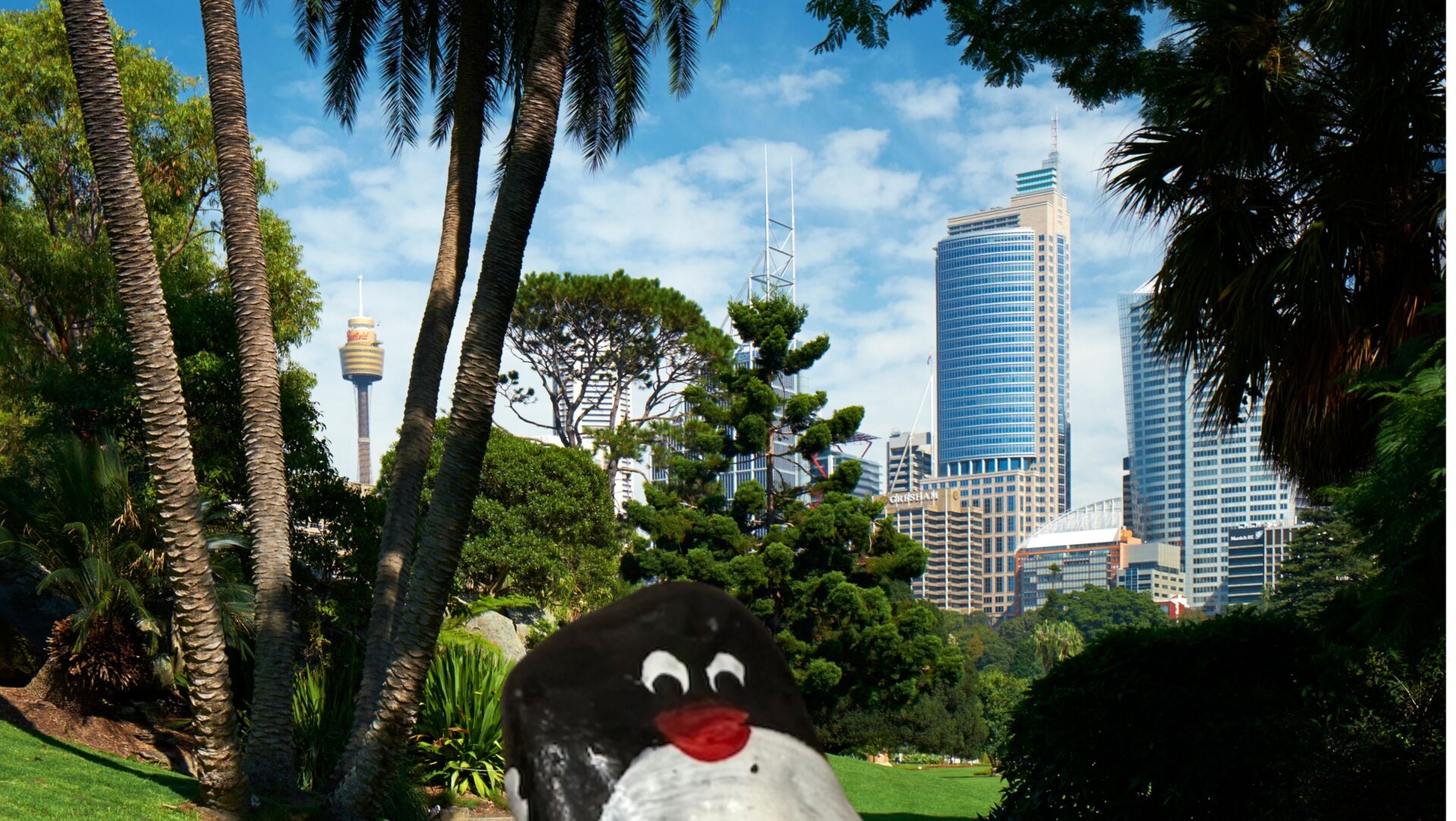 Hand-painted penguin stone #428 hidden at Botanic Gardens of Sydney, Sydney, Australia (photo 1 of 5)