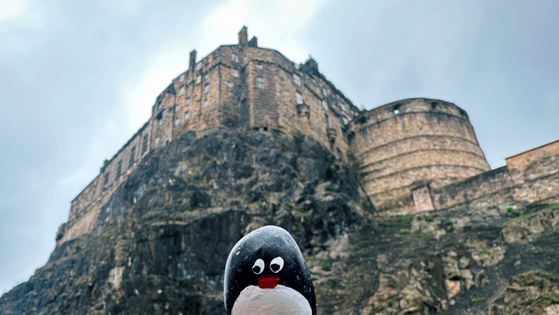 Hand-painted penguin stone #447 hidden at Edinburgh Castle, Edinburgh, United Kingdom (photo 1 of 5)