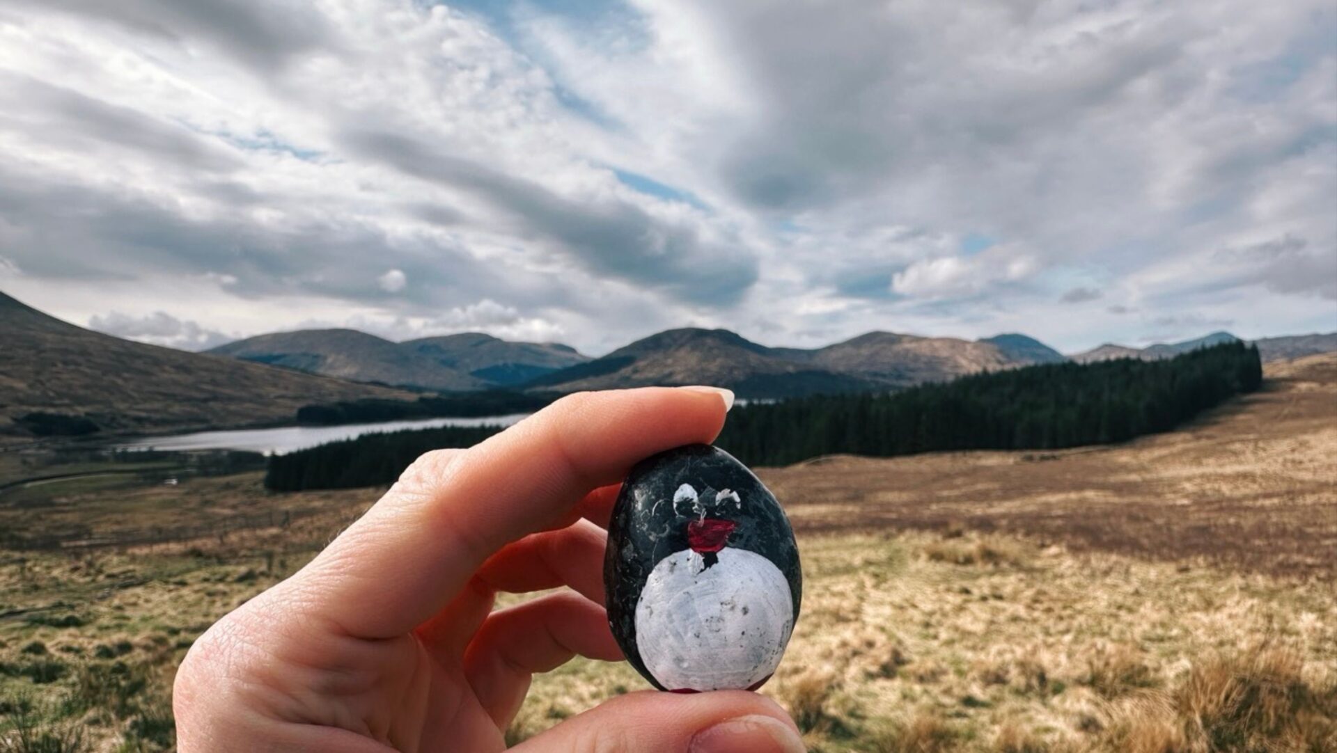 Hand-painted penguin stone #465 hidden at Tulla Viewpoint, Loch Tulla, United Kingdom (photo 1 of 4)