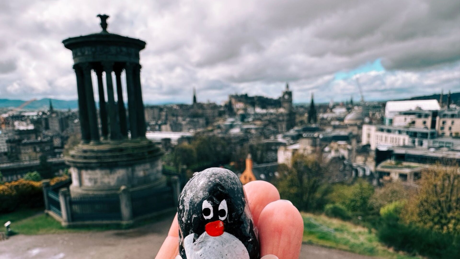 Hand-painted penguin stone #478 hidden at Observatory House, Edinburgh, United Kingdom (photo 1 of 5)