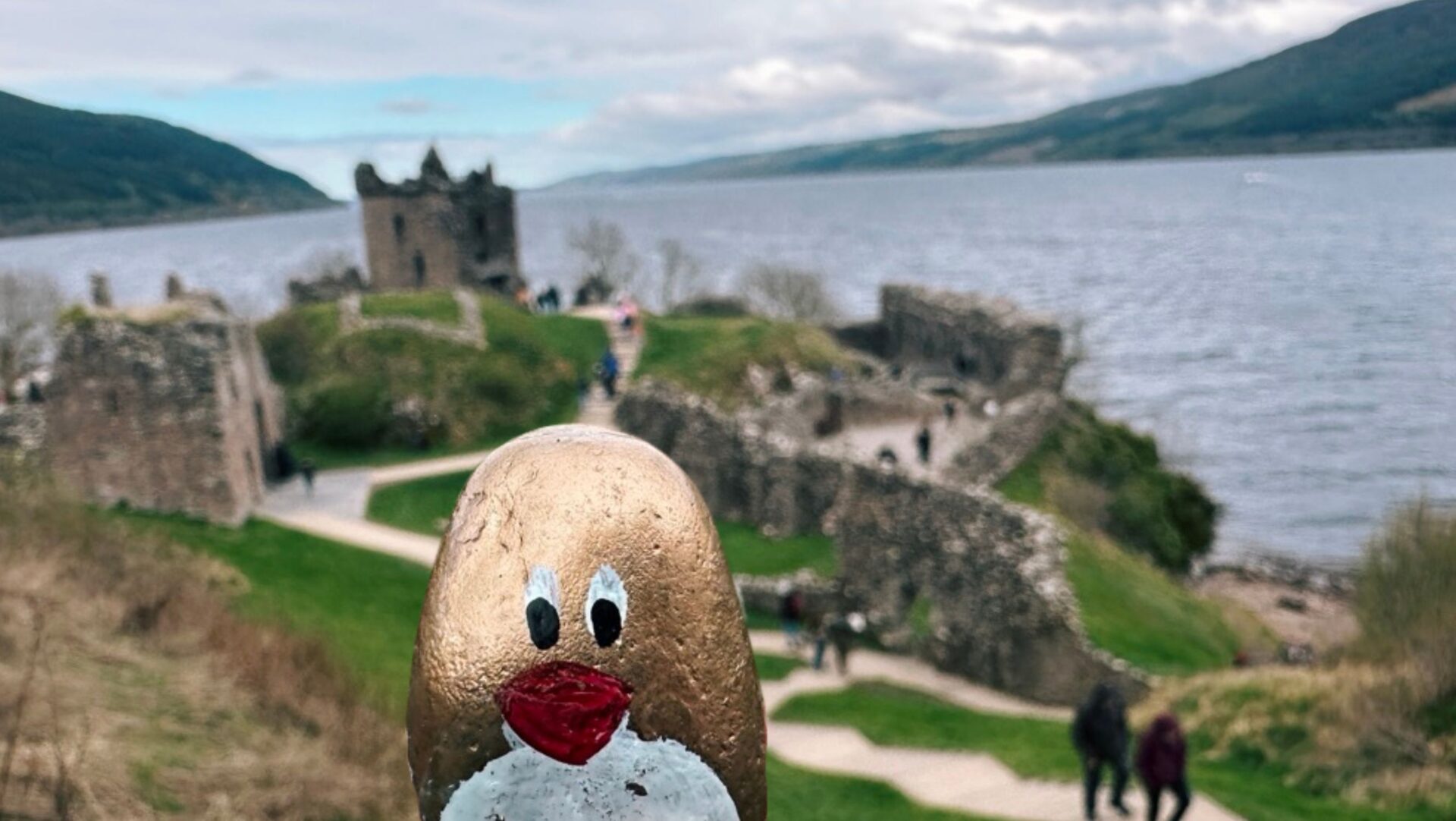 Hand-painted penguin stone #508 hidden at Urquhart Castle, Drumnadrochit, United Kingdom (photo 1 of 5)
