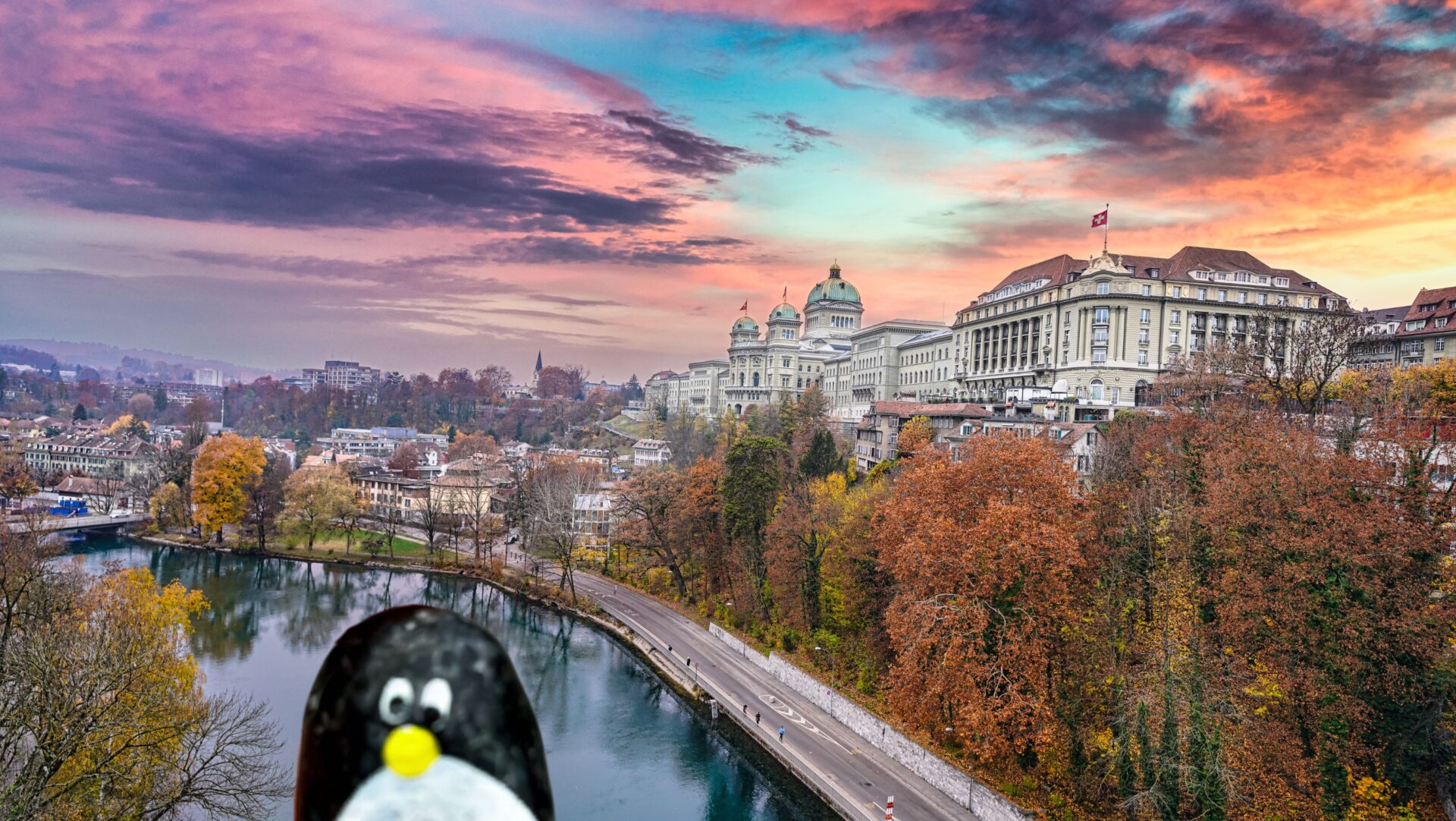 Hand-painted penguin stone #521 hidden at Giant Chess Board, Bern, Switzerland (photo 1 of 5)