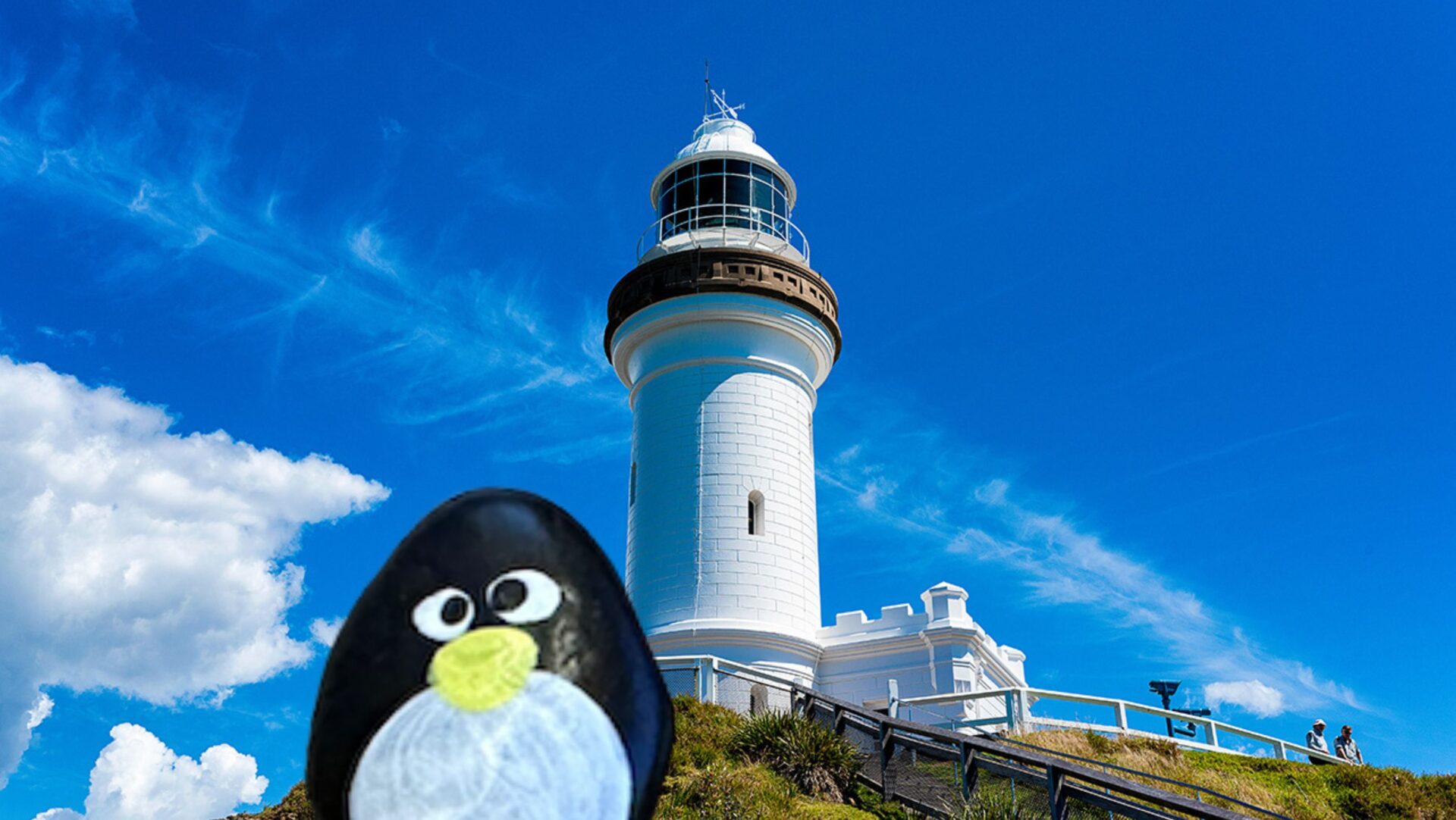 Hand-painted penguin stone #568 hidden at Cape Byron Lighthouse, Baron Bay, Australia (photo 1 of 4)