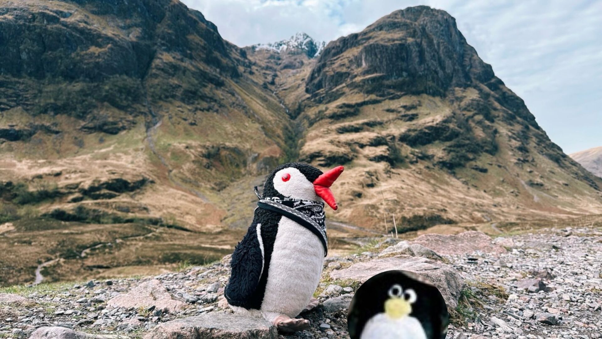 Hand-painted penguin stone #584 hidden at Three Sisters Of Glencoe, Glen Coe, United Kingdom (photo 1 of 5)