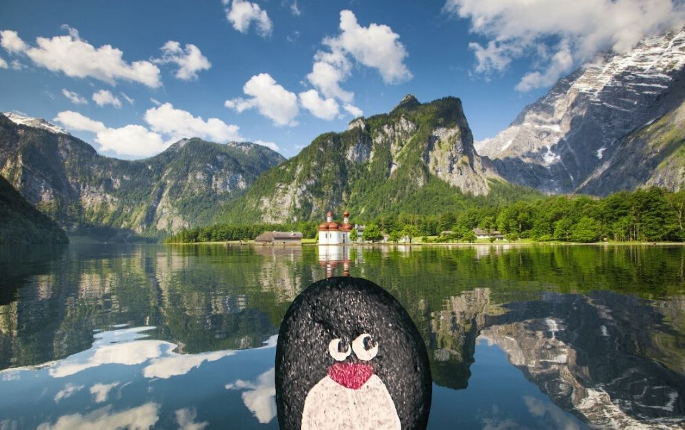 Hand-painted penguin stone #226 hidden at Luitpold von Bayern, Konigssee, Germany (photo 1 of 4)