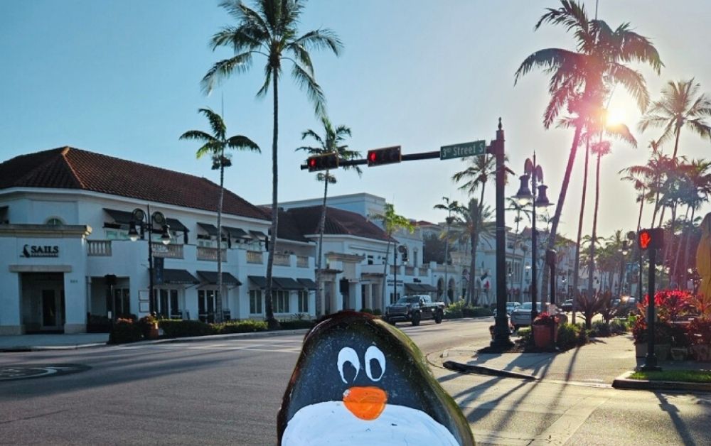 Hand-painted penguin stone #333 hidden at Naples, Florida, United States (photo 1 of 5)