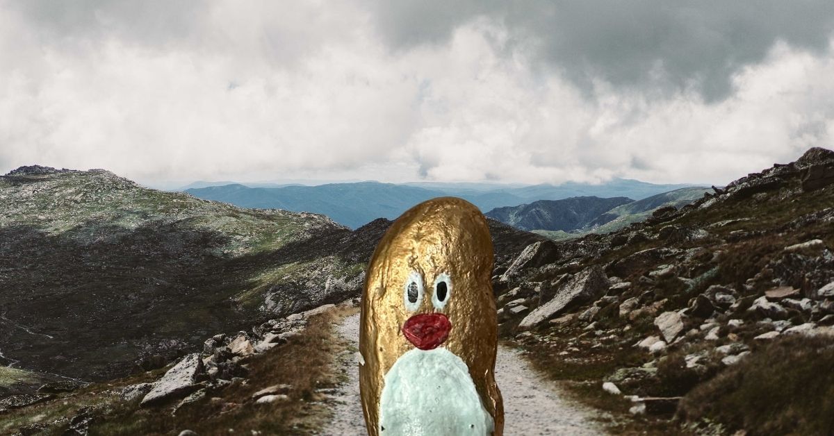 Hand-painted penguin stone #501 hidden at Mount Kosciuszko, Australia (photo 1 of 5)