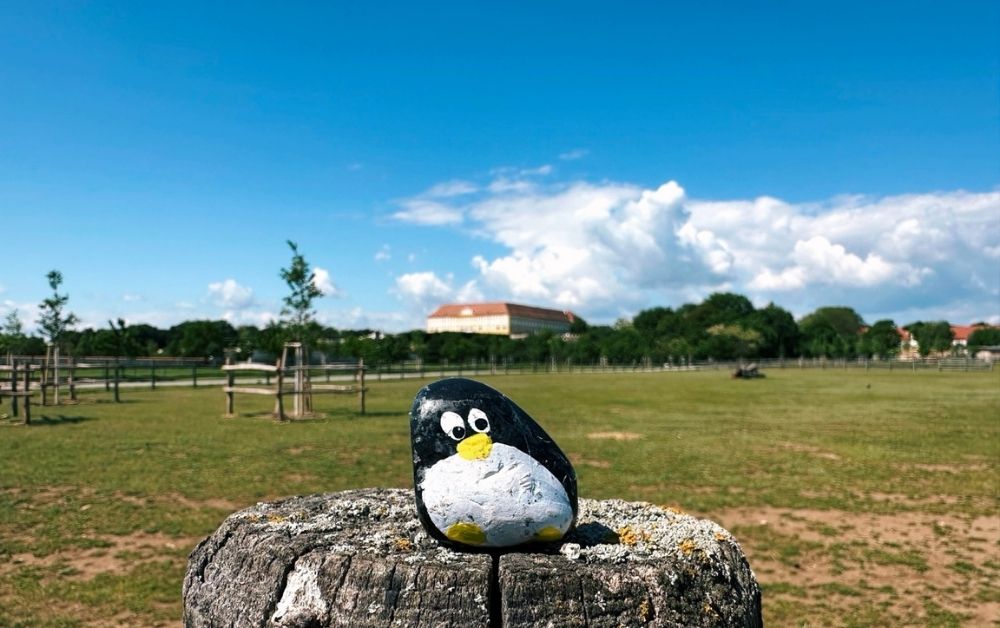 Hand-painted penguin stone #541 hidden at Schloss Hof, Marchfeld, Austria (photo 1 of 5)
