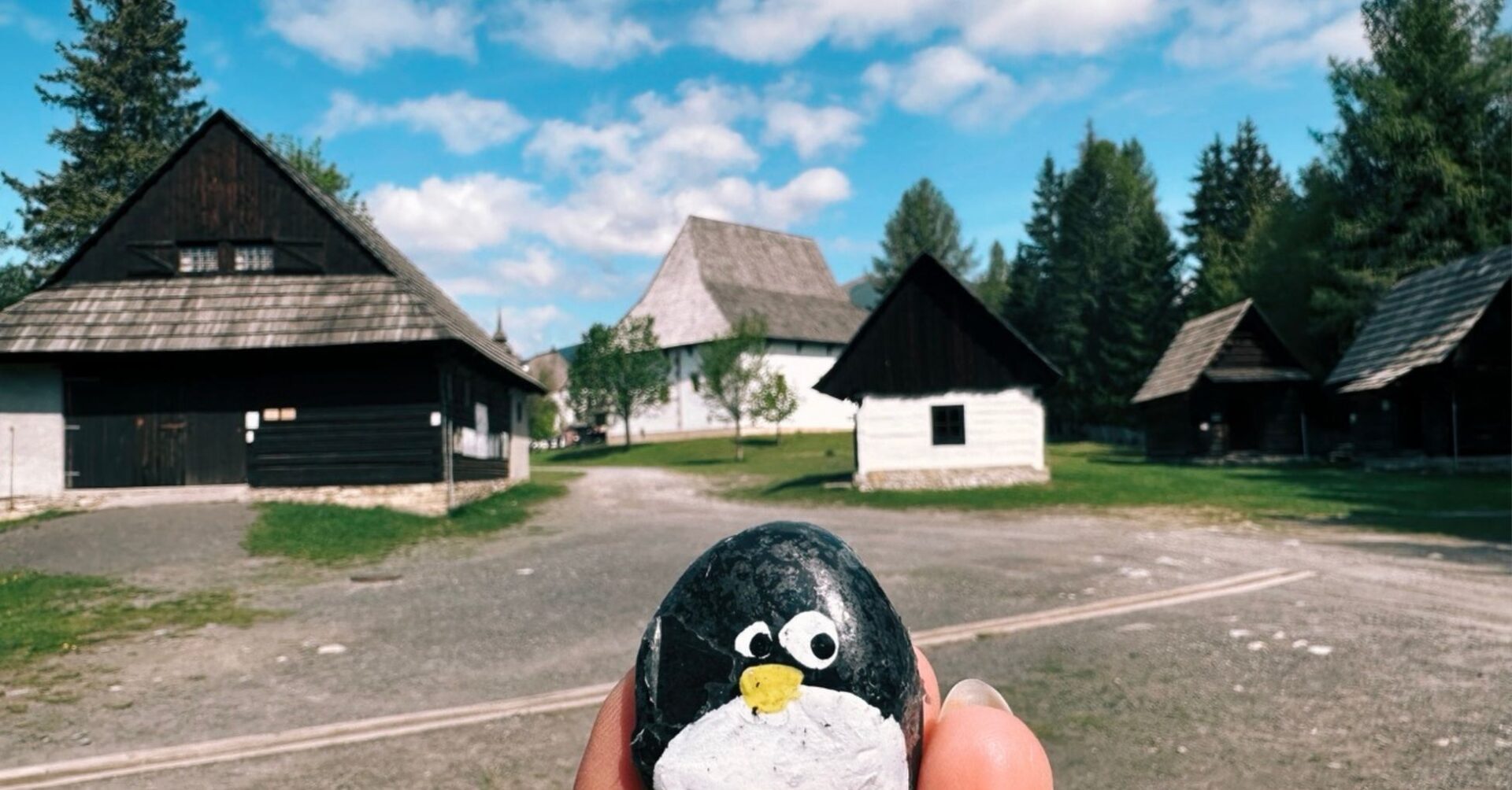 Hand-painted penguin stone #547 hidden at Pribylina Open-Air Museum, Pribylina, Slovakia (photo 1 of 5)