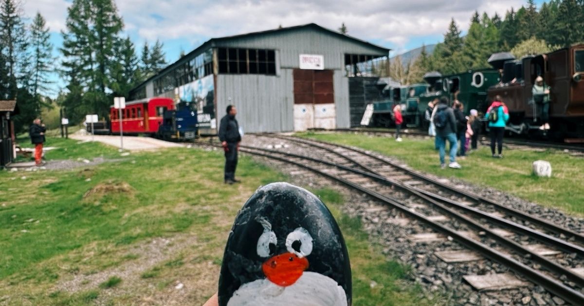 Hand-painted penguin stone #573 hidden at Bears Den, Pribylina, Slovakia (photo 1 of 5)