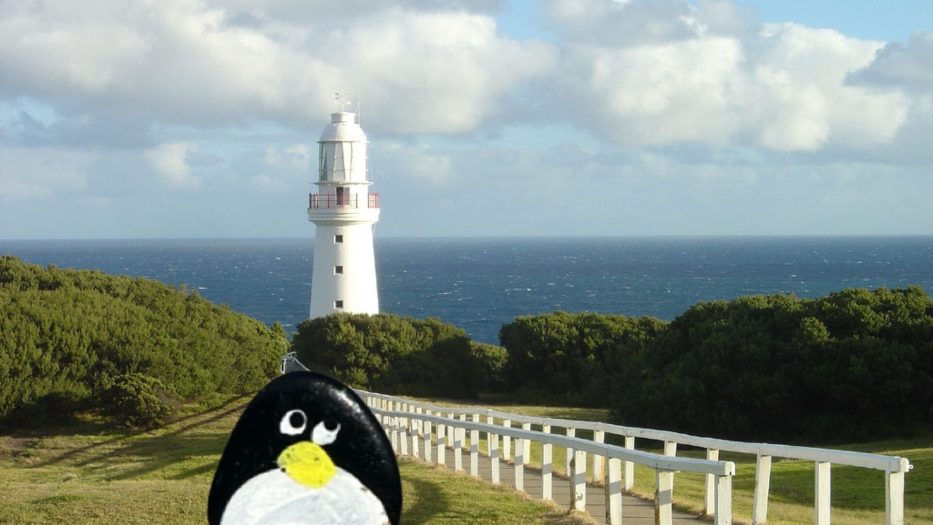 Hand-painted penguin stone #610 hidden at Cape Otway Light Station, Great Otway National Park, Australia (photo 1 of 5)