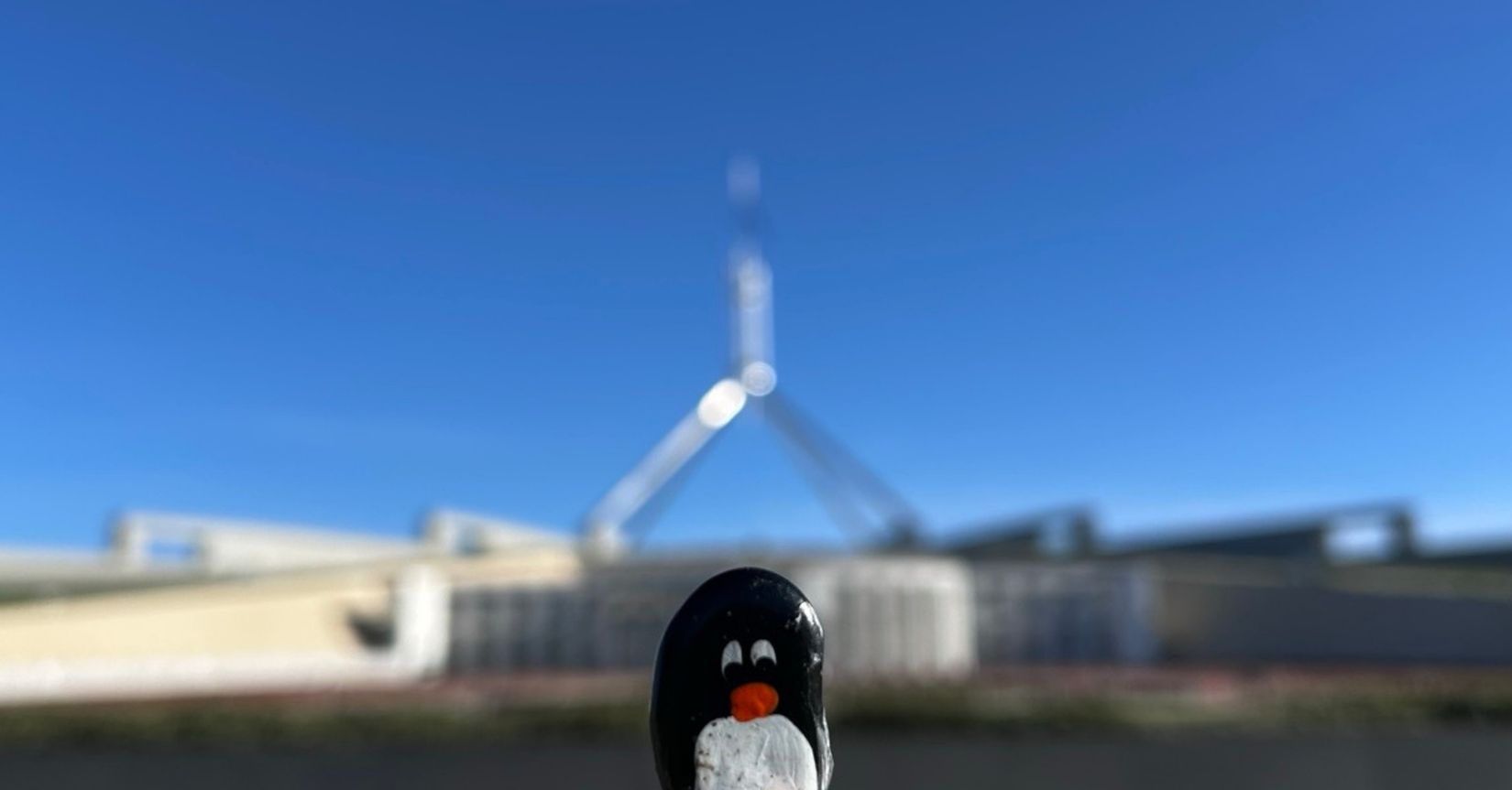 Hand-painted penguin stone #628 hidden at Parliament House, Canberra, Australia (photo 1 of 5)