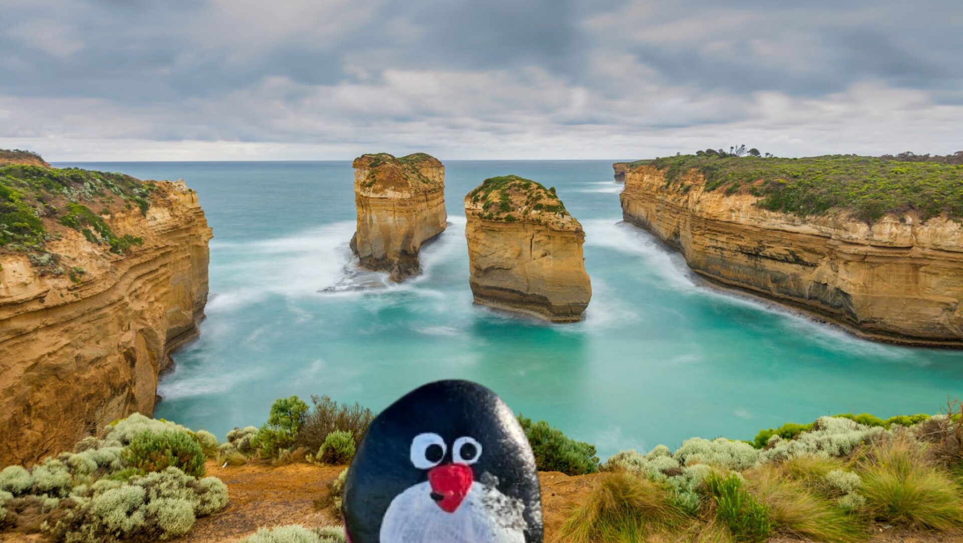 Hand-painted penguin stone #697 hidden at Great Ocean Road, Kennett River, Australia (photo 1 of 5)
