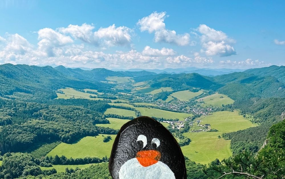 Hand-painted penguin stone #166 hidden at Sulov Rocks Boulder, Sulov Rocks, Slovakia (photo 1 of 5)