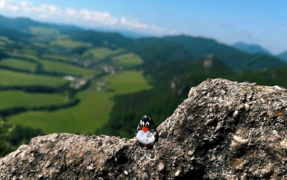 Hand-painted penguin stone #340 hidden at Viewpoint, Sulov Rocks, Slovakia (photo 1 of 5)