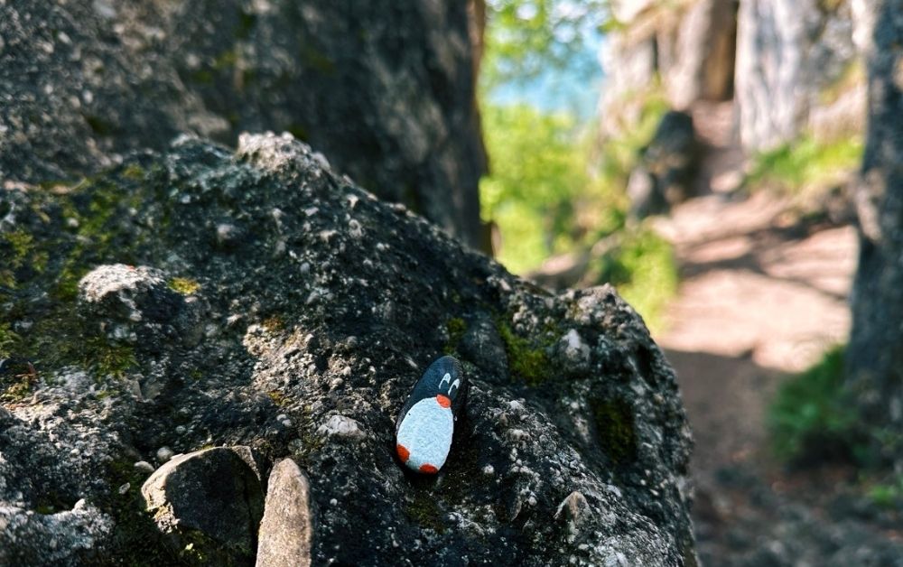 Hand-painted penguin stone #346 hidden at Sulov Castle Ruins, Sulov Rocks, Slovakia (photo 1 of 5)