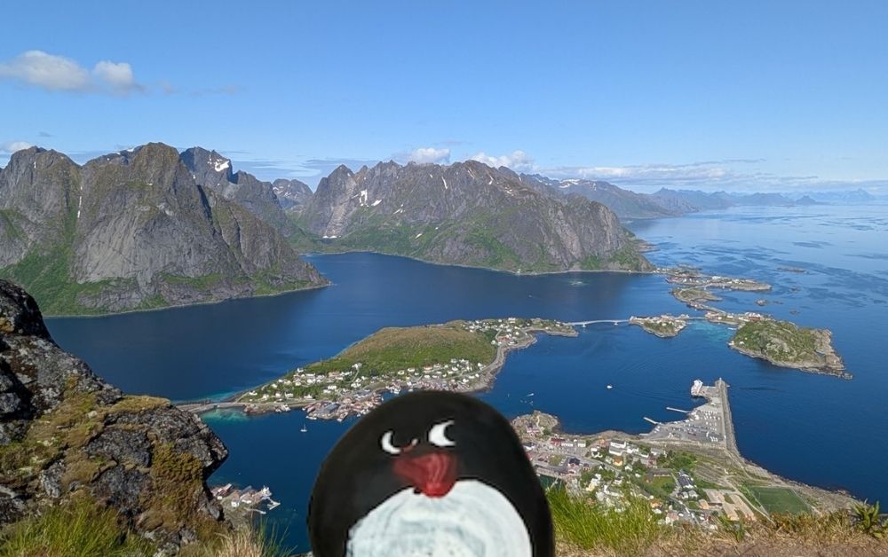 Hand-painted penguin stone #431 hidden at Reinebringen, Reine, Norway (photo 1 of 5)