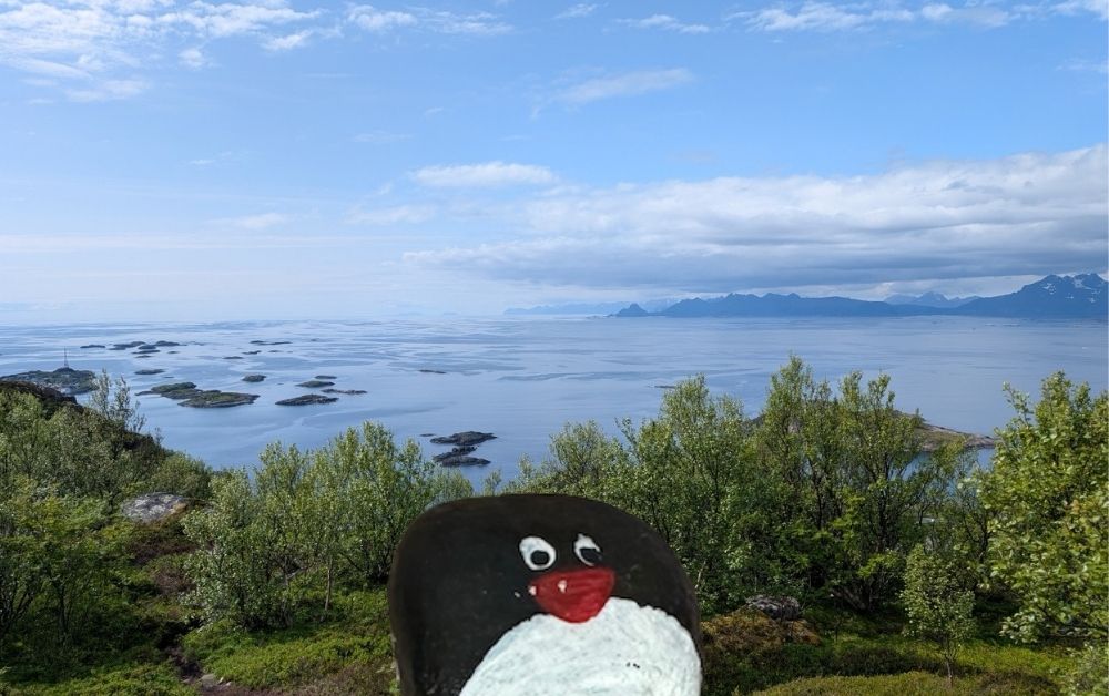 Hand-painted penguin stone #442 hidden at Festvagtind Trail, Heiavatnet, Norway (photo 1 of 5)
