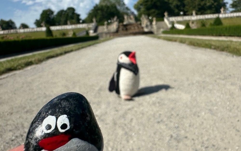 Hand-painted penguin stone #449 hidden at Castle Gardens, Cesky Krumlov, Czechia (photo 1 of 5)