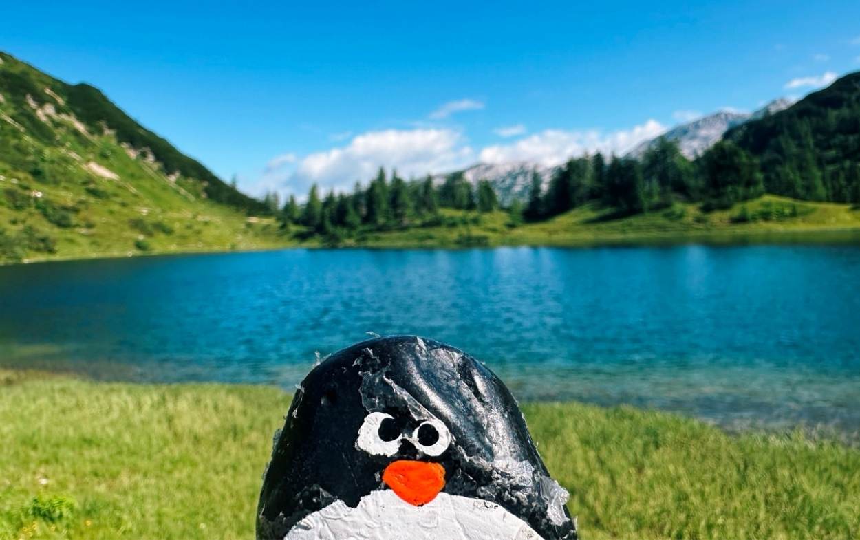 Hand-painted penguin stone #524 hidden at Grosssee, Tauplitzalm plateau, Austria (photo 1 of 5)