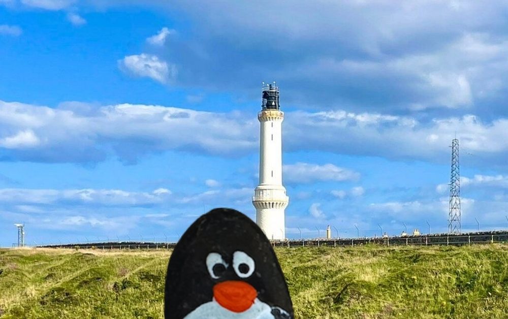 Hand-painted penguin stone #534 hidden at Girdle Ness Lighthouse, Aberdeen, United Kingdom (photo 1 of 4)