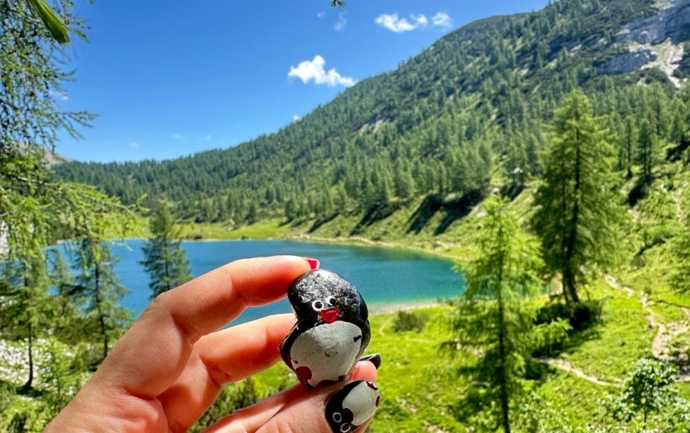 Hand-painted penguin stone #540 hidden at Schwarzensee, Tauplitzalm plateau, Austria (photo 1 of 5)