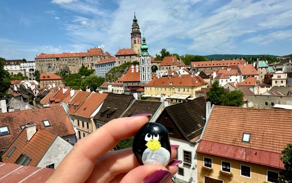 Hand-painted penguin stone #579 hidden at Seminarni zahrada Viewpoint, Cesky Krumlov, Czechia (photo 1 of 5)