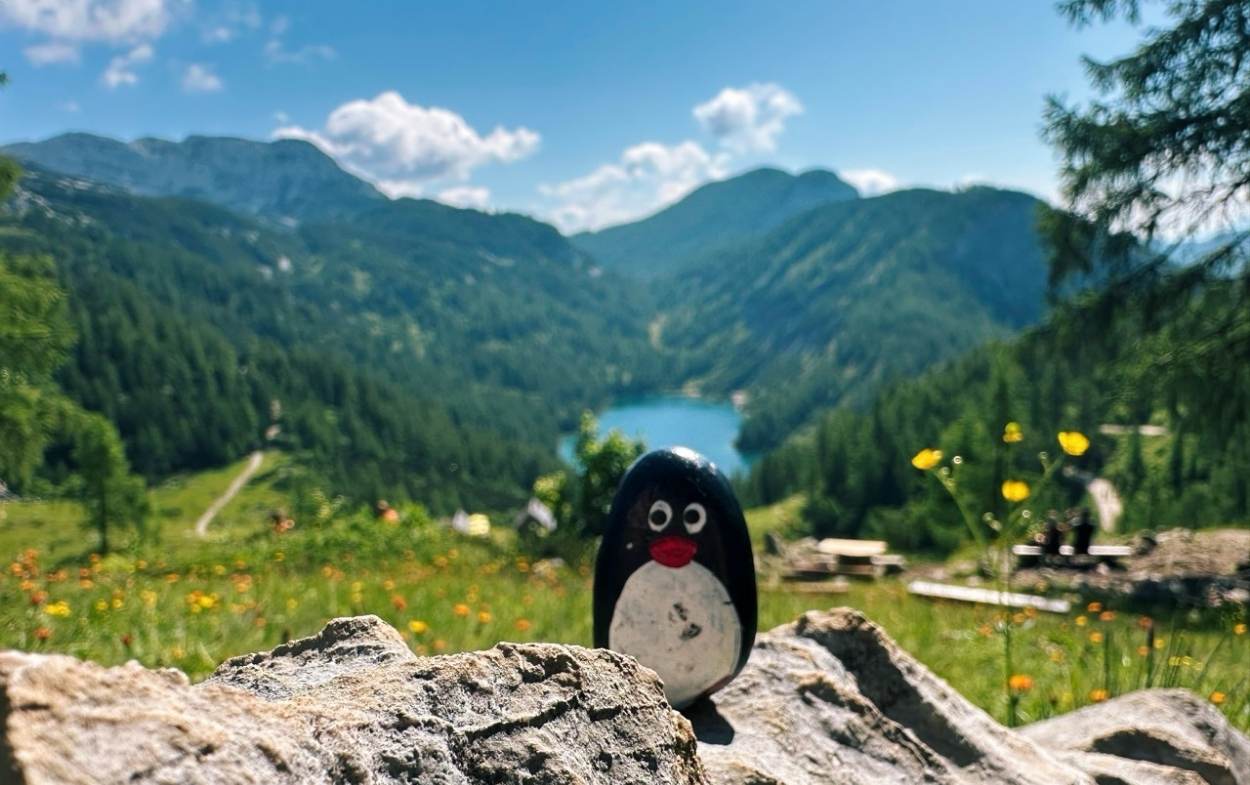 Hand-painted penguin stone #593 hidden at Steirersee Viewpoint, Tauplitzalm plateau, Austria (photo 1 of 5)