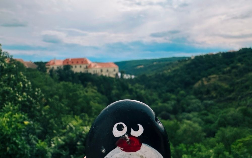 Hand-painted penguin stone #596 hidden at Granice, Znojmo, Czechia (photo 1 of 5)