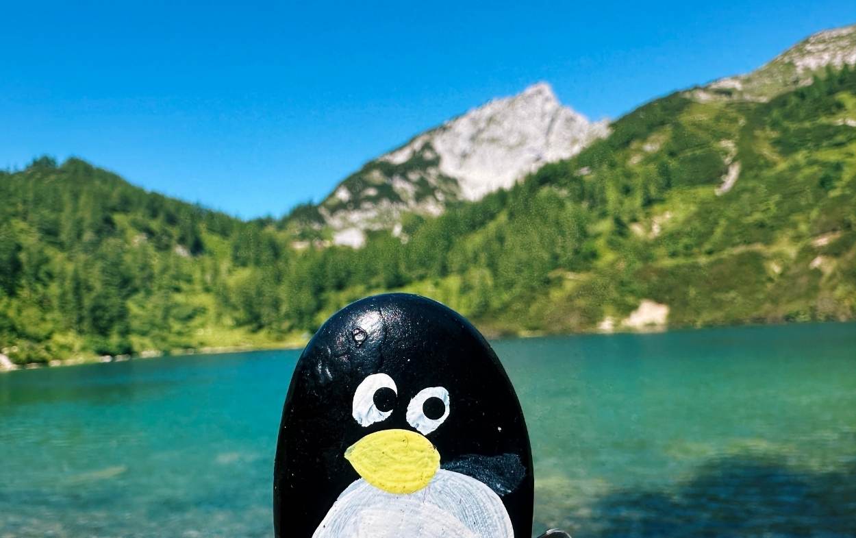 Hand-painted penguin stone #607 hidden at Steirersee, Tauplitzalm plateau, Austria (photo 1 of 5)