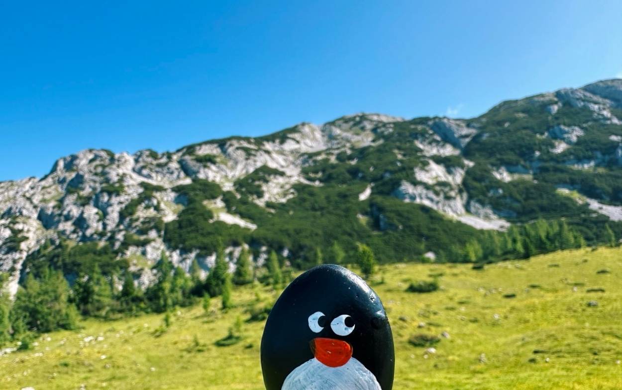 Hand-painted penguin stone #633 hidden at Grazer Hutte, Tauplitzalm plateau, Austria (photo 1 of 5)