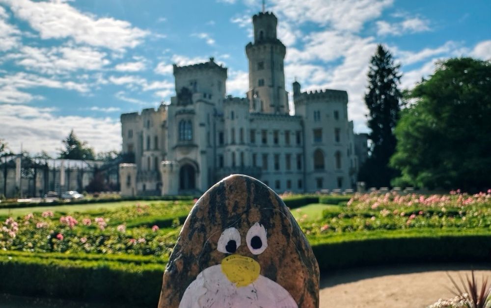 Hand-painted penguin stone #88 hidden at The State Chateau of Hluboka, Hluboka nad Vltavou, Czechia (photo 1 of 5)