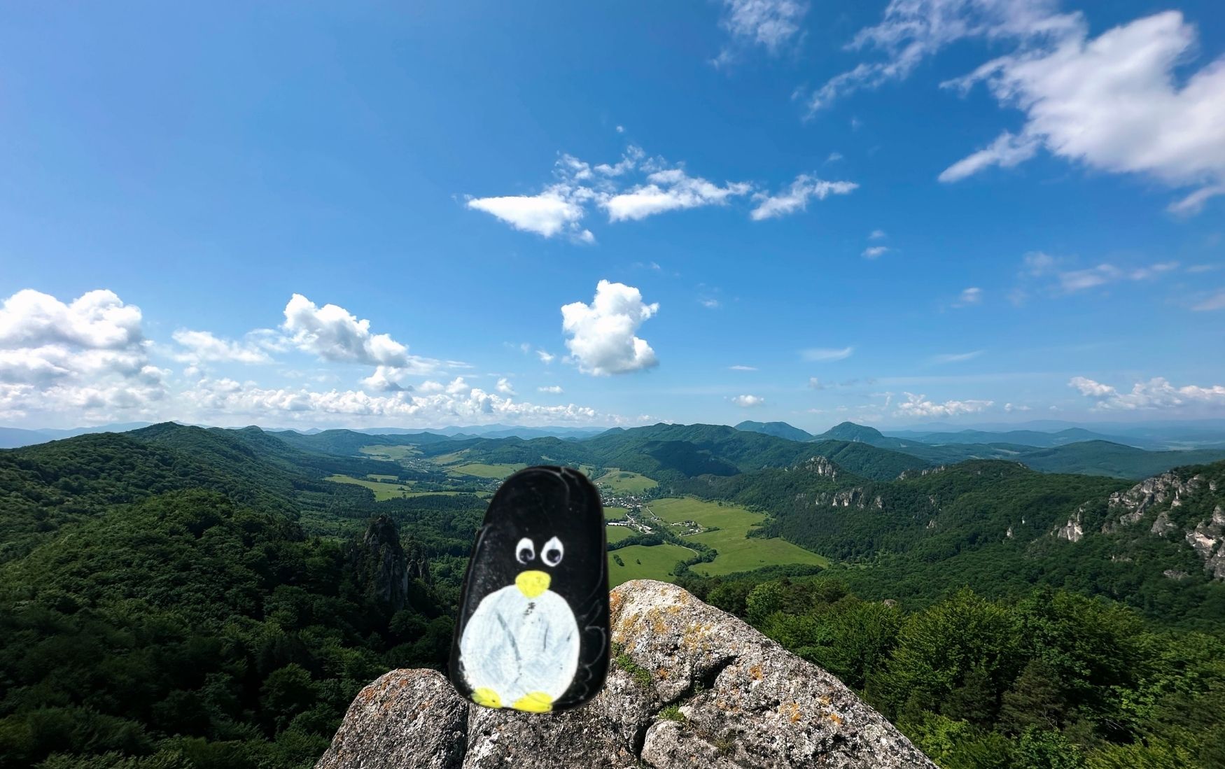 Hand-painted penguin stone #99 hidden at Sunset Viewpoint, Sulov Rocks, Slovakia (photo 1 of 5)