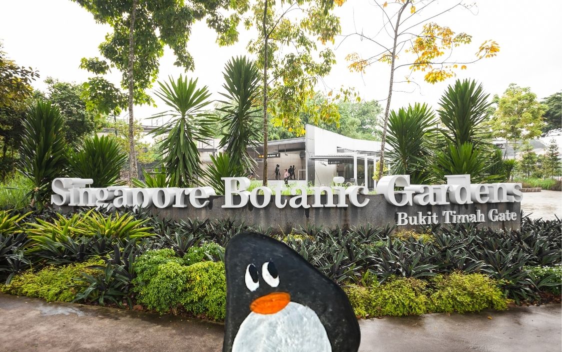 Hand-painted penguin stone #330 hidden at The Botanic Gardens, Singapore, Singapore (photo 1 of 5)