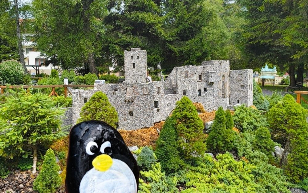 Hand-painted penguin stone #554 hidden at Park Mini Slovakia, Janska Valley, Slovakia (photo 1 of 5)