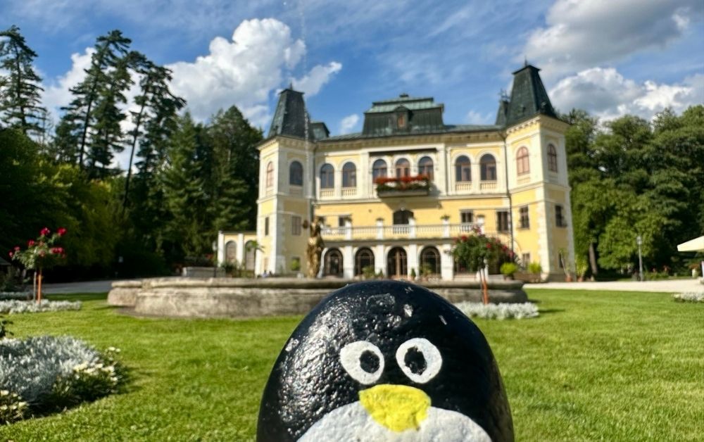 Hand-painted penguin stone #564 hidden at Chateau Betliar, Betliar, Slovakia (photo 1 of 5)