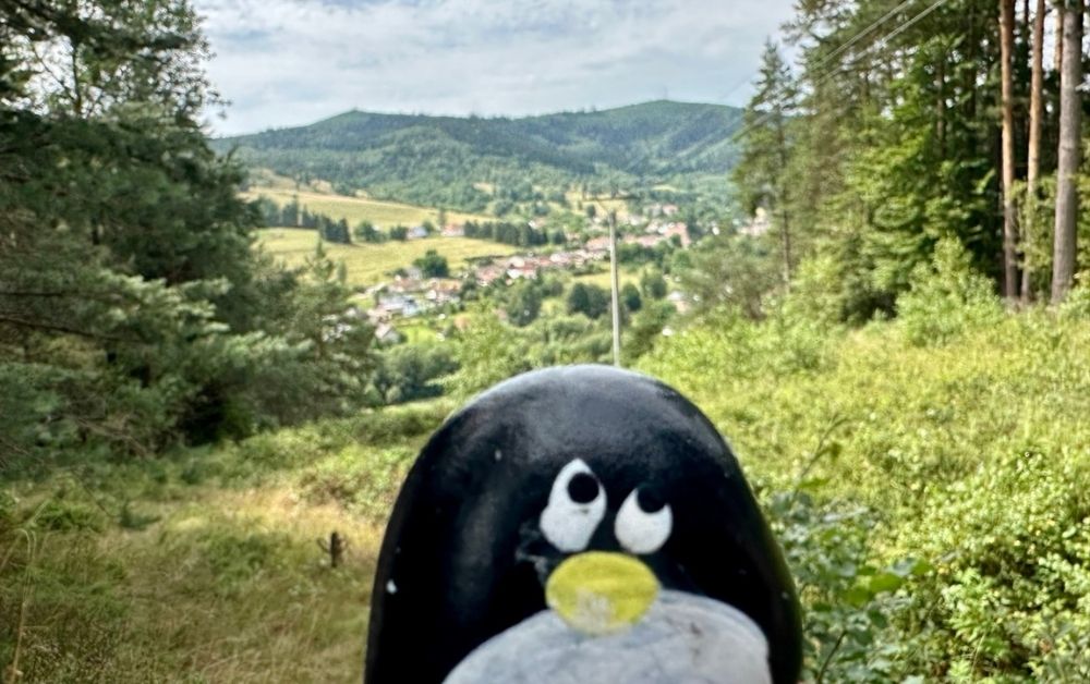 Ručne maľovaný tučniakový kameň č. 577 ukrytý na mieste Scenic Viewpoint, Smolnik, Slovensko (fotka 1 z 5)