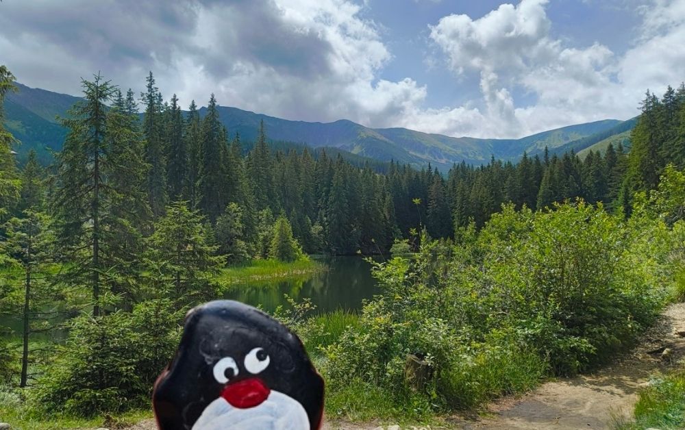 Hand-painted penguin stone #611 hidden at Vrbicke Pleso, Low Tatras, Slovakia (photo 1 of 5)