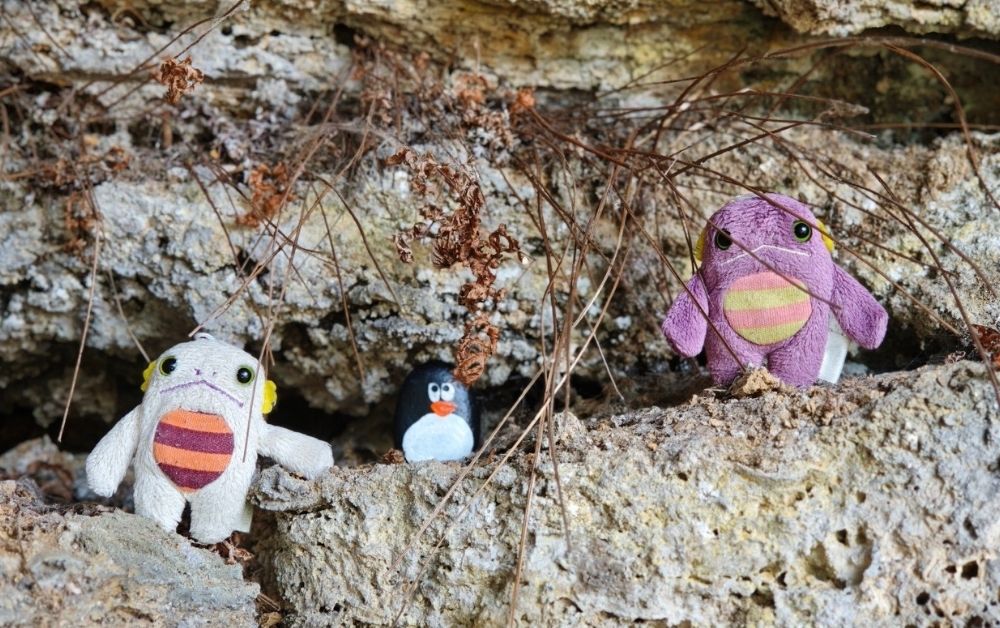 Hand-painted penguin stone #631 hidden at Lucanske Travertiny, Lucky, Slovakia (photo 1 of 5)