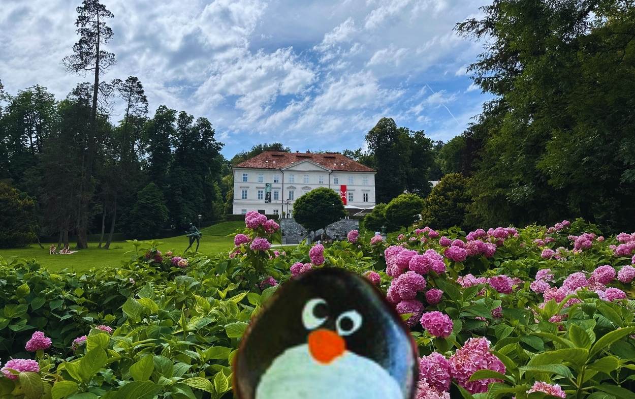 Hand-painted penguin stone #649 hidden at Tivoli Park Playground, Ljubljana, Slovenia (photo 1 of 5)