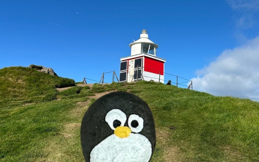 Hand-painted penguin stone #1023 hidden at Kallur Lighthouse, Kalsoy, Faroe Islands (photo 1 of 5)