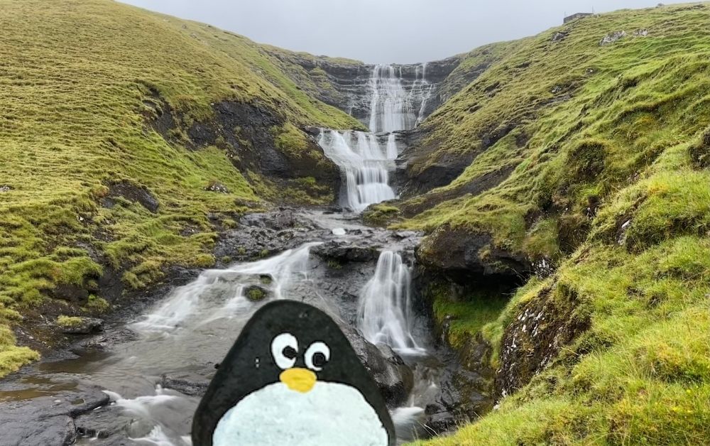 Hand-painted penguin stone #1031 hidden at Toftafossur, Vandfald, Faroe Islands (photo 1 of 5)