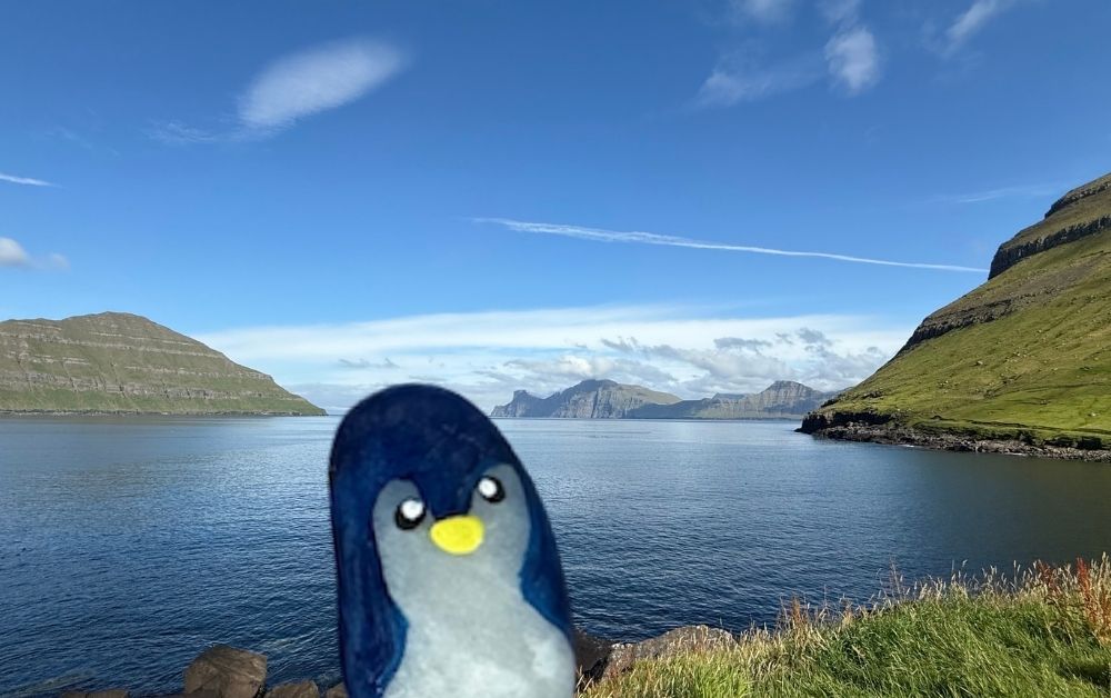 Hand-painted penguin stone #1050 hidden at Gorge Elduvik, Elduvik, Faroe Islands (photo 1 of 5)