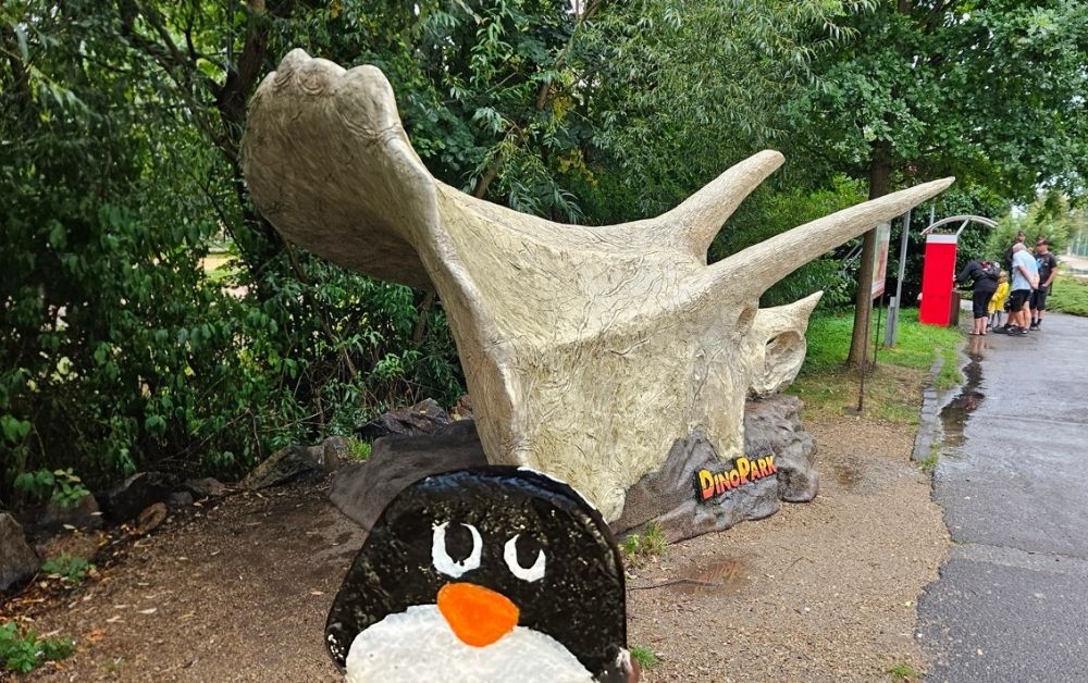 Hand-painted penguin stone #351 hidden at Plzen Zoo, Pilsen, Czechia (photo 1 of 5)